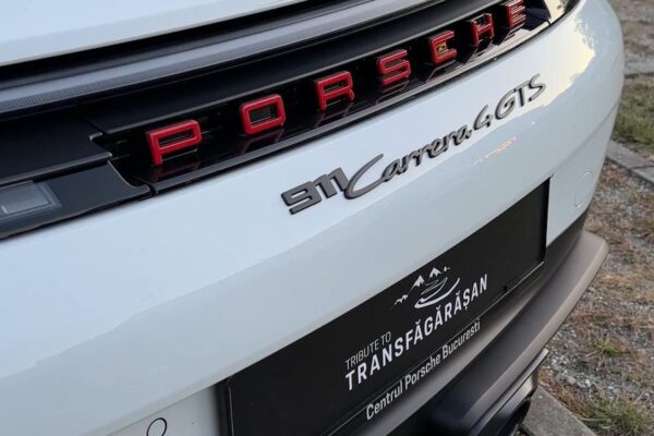 Фото / Видео, какое шоу 7 Porsche 911 "Trante Transfăgrșan" в присутствии Дэвида Поповичи