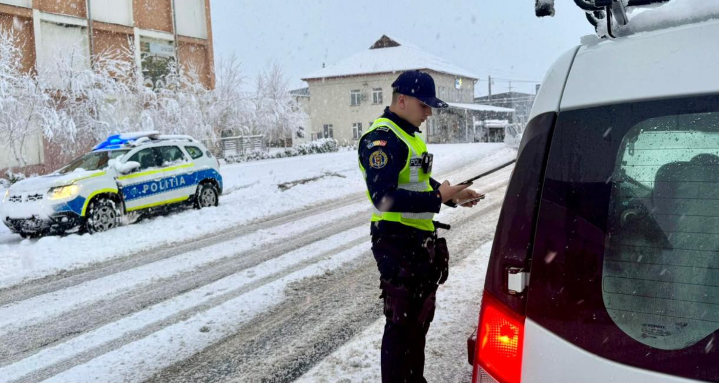 За один день сотрудники ГИБДД приостановили действие более 500 лицензий на автомобили. Скорость и алкоголь, основные правонарушения