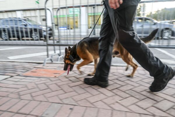 Пограничная полиция закупает три специальных автомобиля для перевозки служебных собак