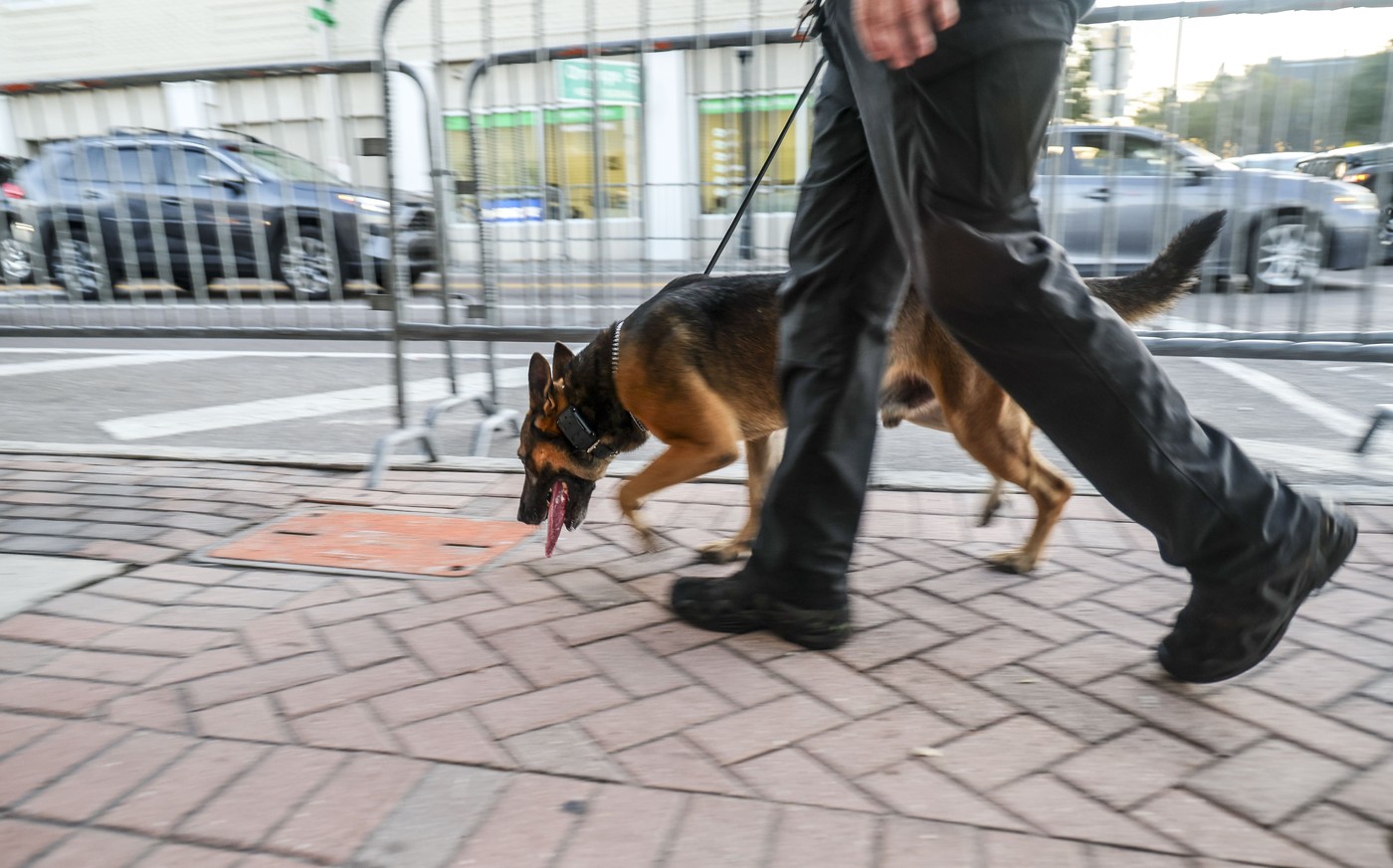 Пограничная полиция закупает три специальных автомобиля для перевозки служебных собак