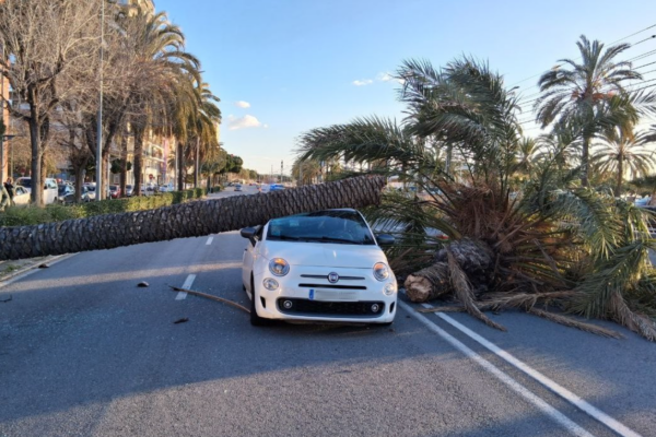 Сильный шторм в Испании: порывы ветра 170 км/ч раздавили автомобили и перекрыли дороги