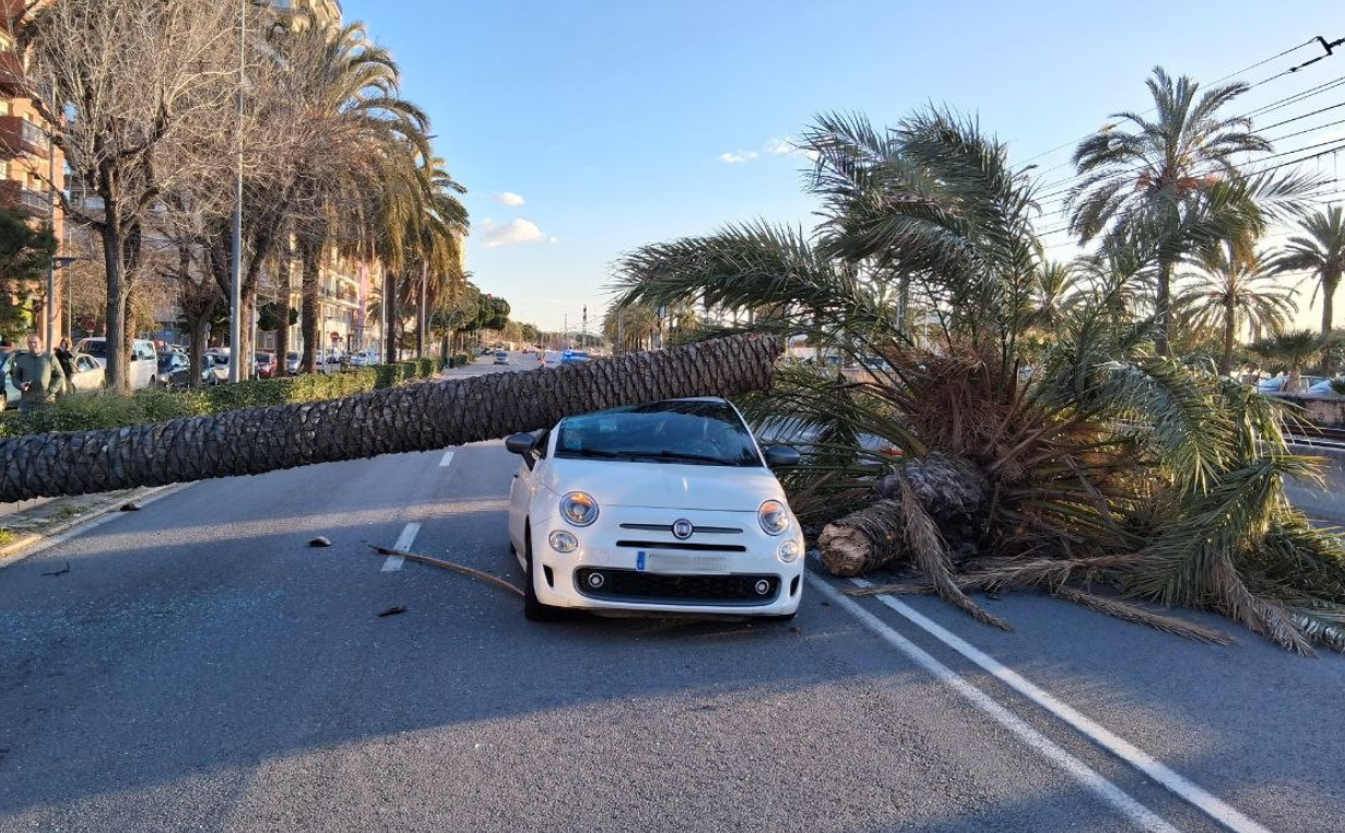 Сильный шторм в Испании: порывы ветра 170 км/ч раздавили автомобили и перекрыли дороги